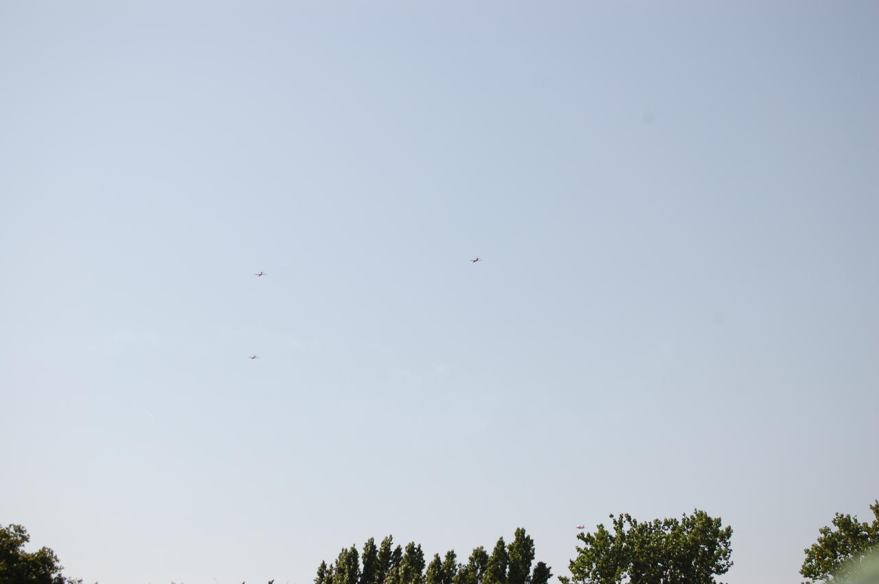 DSC_7611.JPG
