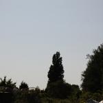 DSC_7613.JPG