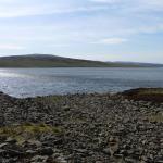 Cow Green-fd0007.jpg