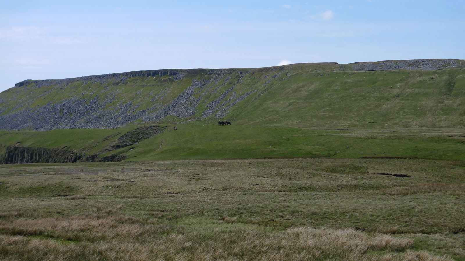 wild horses at high cup nick.jpg