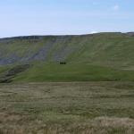 wild horses at high cup nick.jpg
