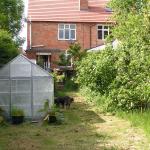 the greenhouse