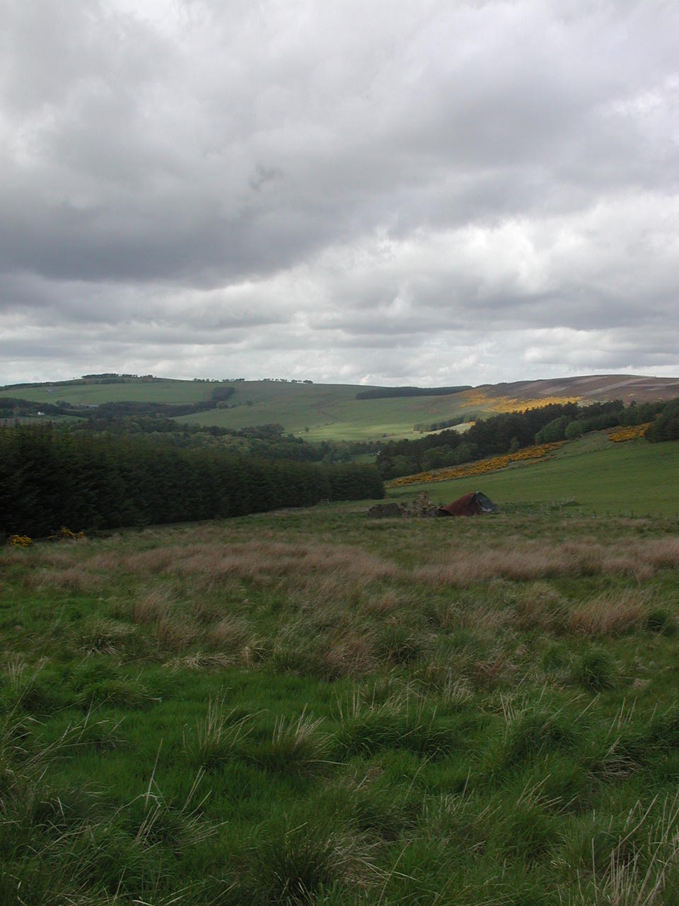 P1010018.JPG