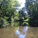 Mill Pool