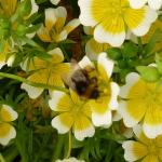 New camera test 057.jpg