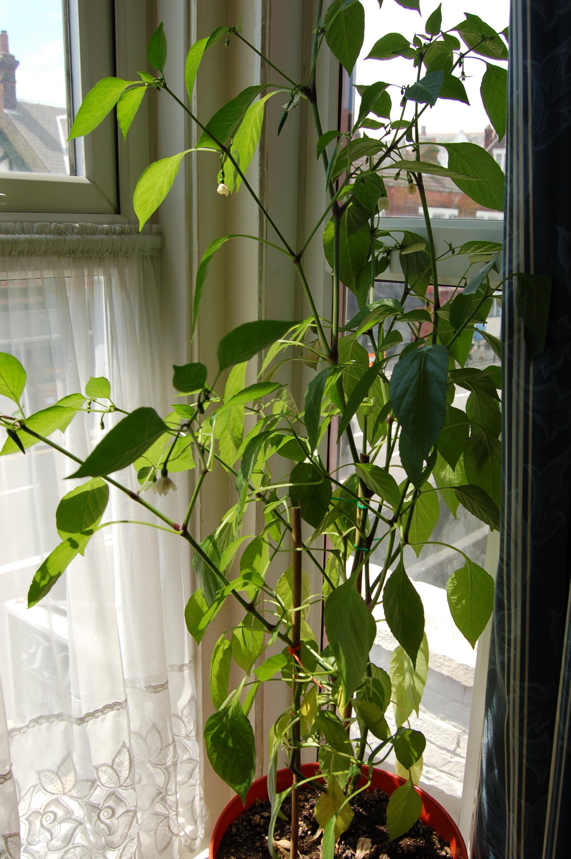 DSC_5055.jpg