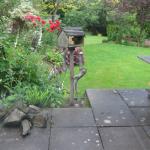 Squirrel 1