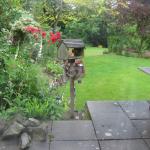 Squirrel 6