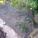 n745821418_947380_251