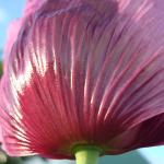044