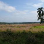 DSC00421