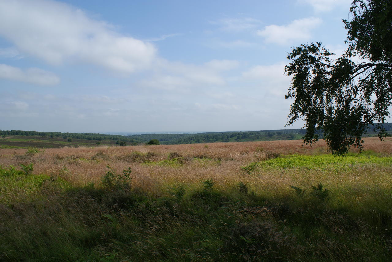 DSC00421