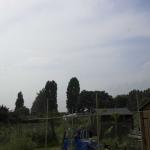 DSC_8202-01.jpg