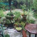 090627_FreakStoorm1