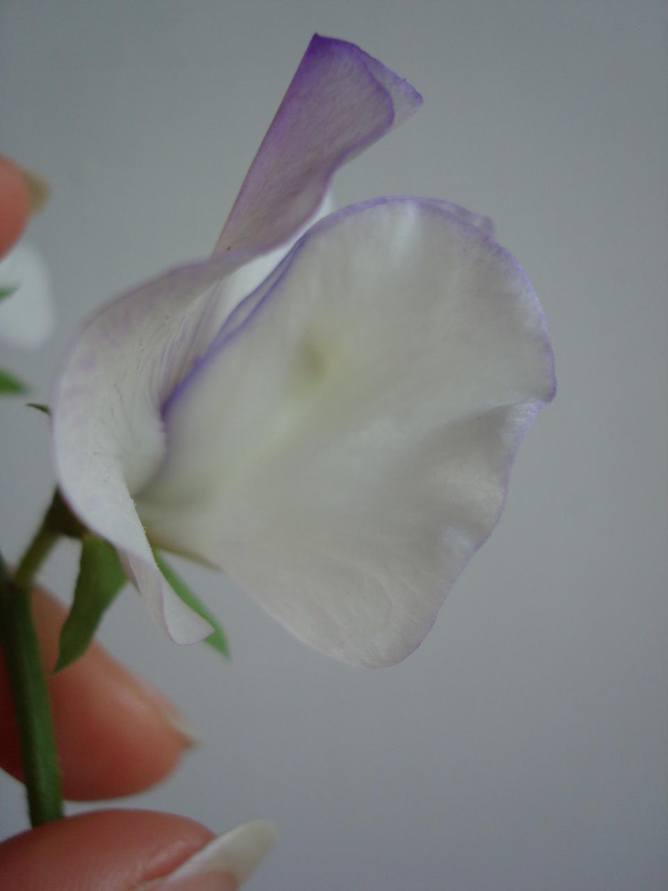041