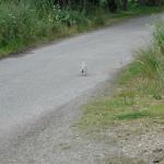 P1010007.JPG