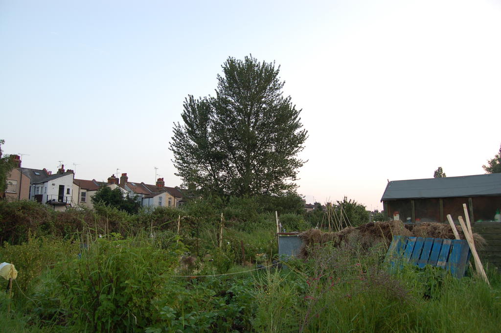 DSC_5175.JPG