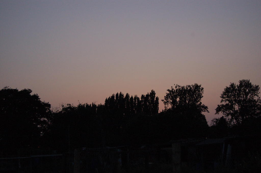 DSC_5177.JPG