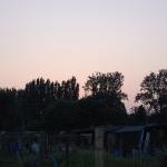 DSC_5179.JPG