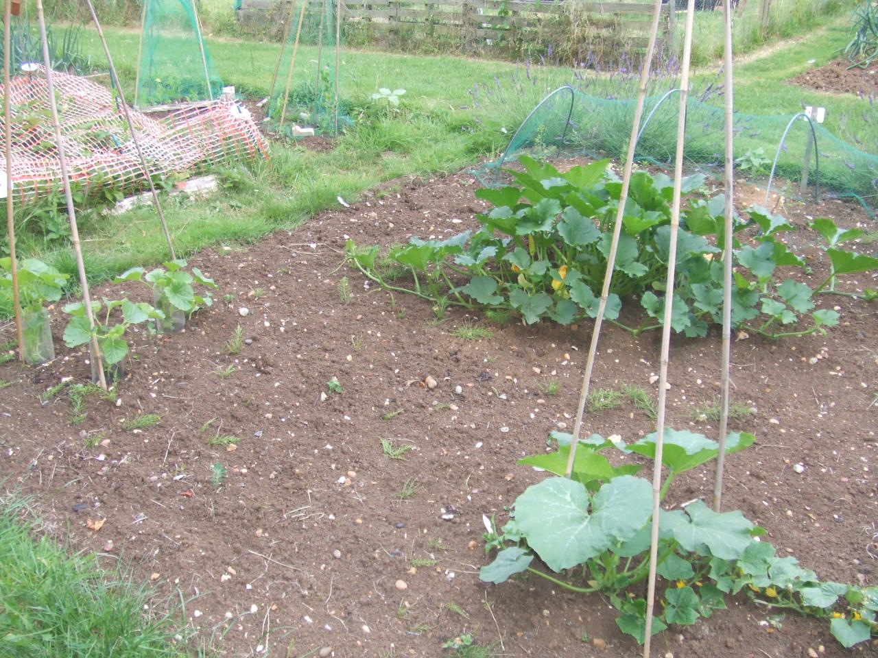 July 2009 003