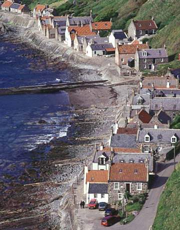 Crovie
