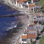 Crovie