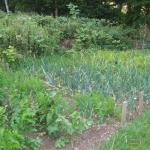 July 2009 009