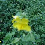 P1010013.JPG