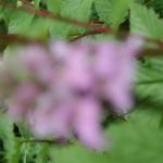 P1010024.JPG