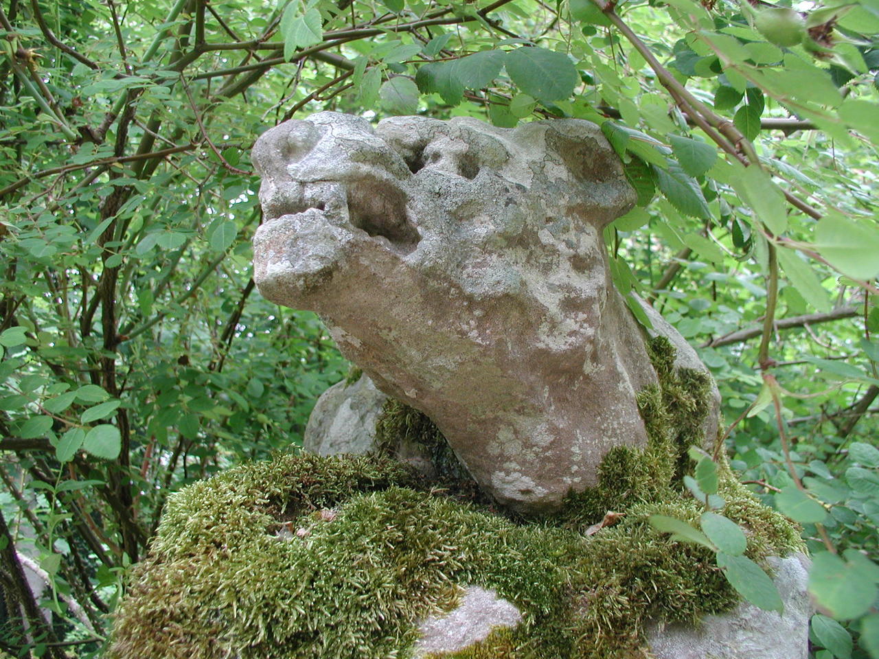 P1010034.JPG