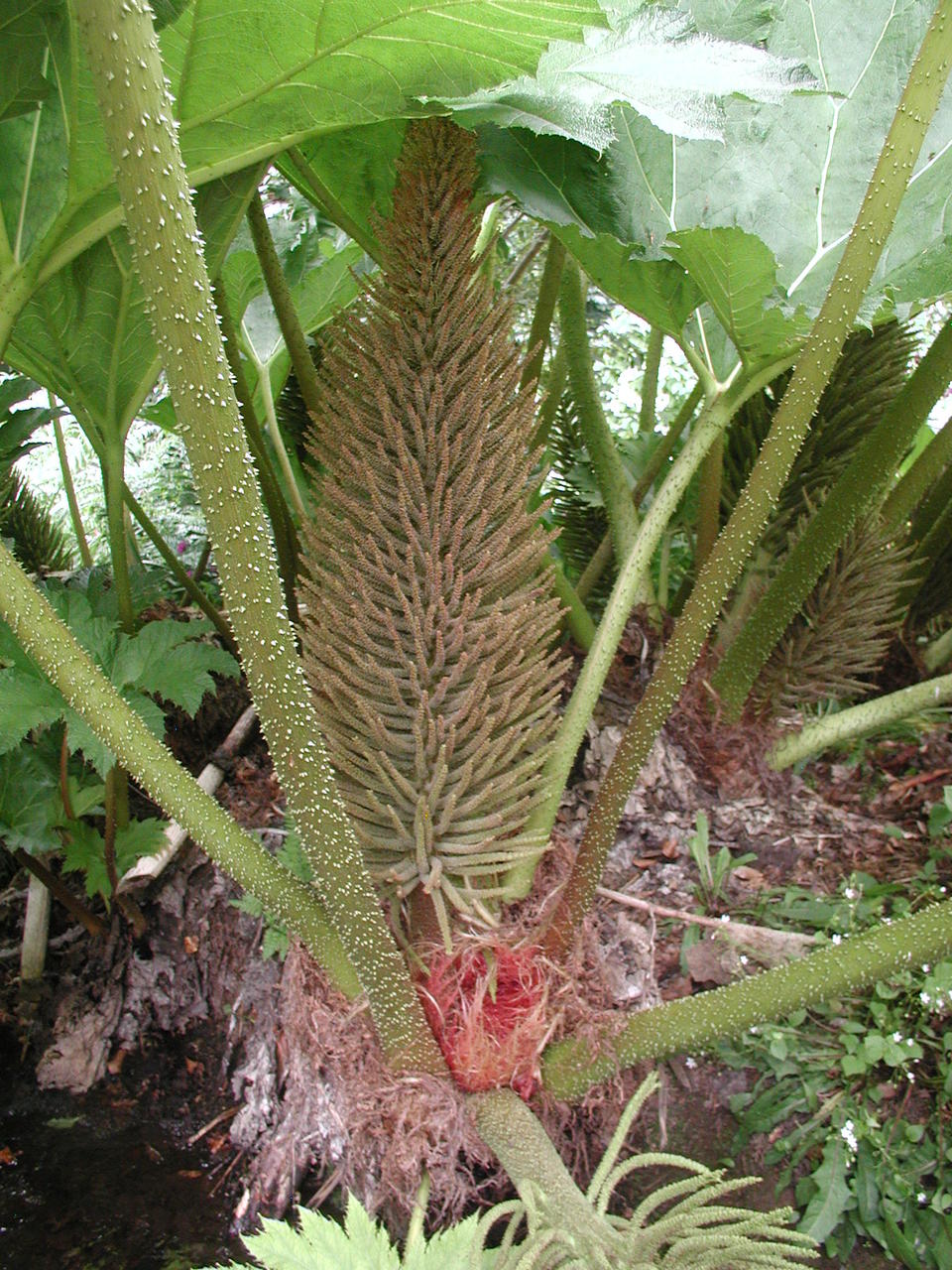 P1010011.JPG