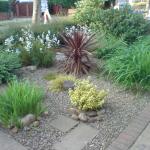 DSC00800