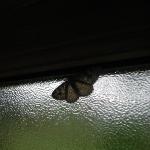 P1010003.JPG