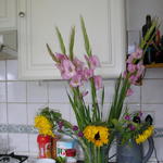 Lottie & Garden July 2009 012