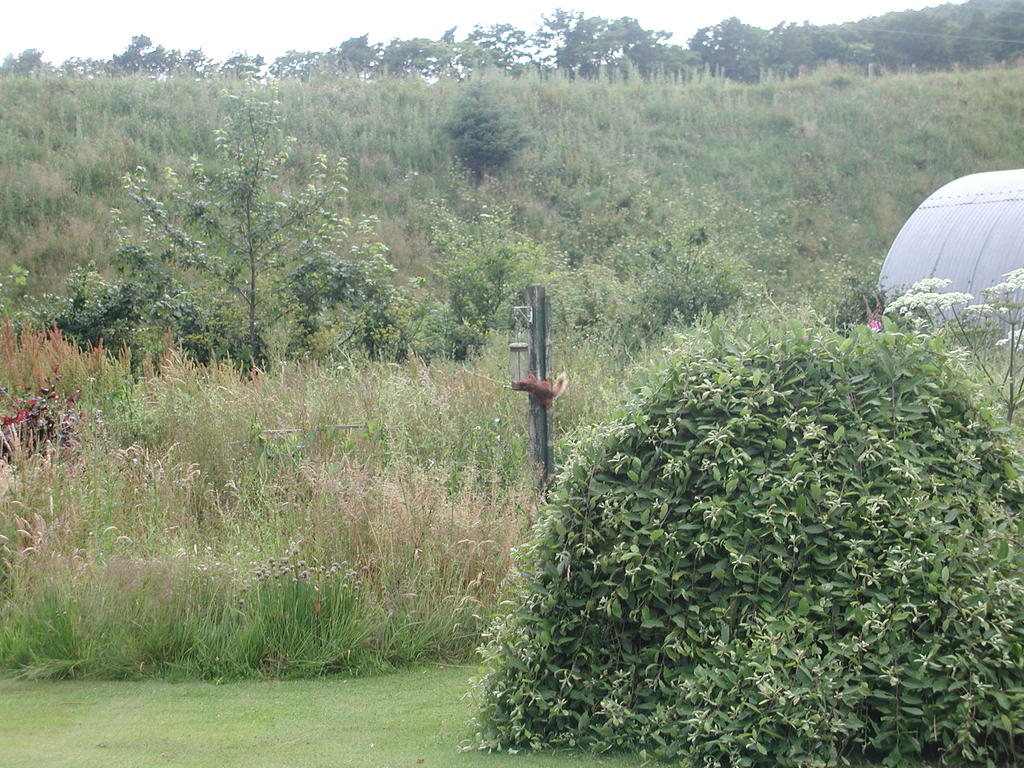 P1010001.JPG