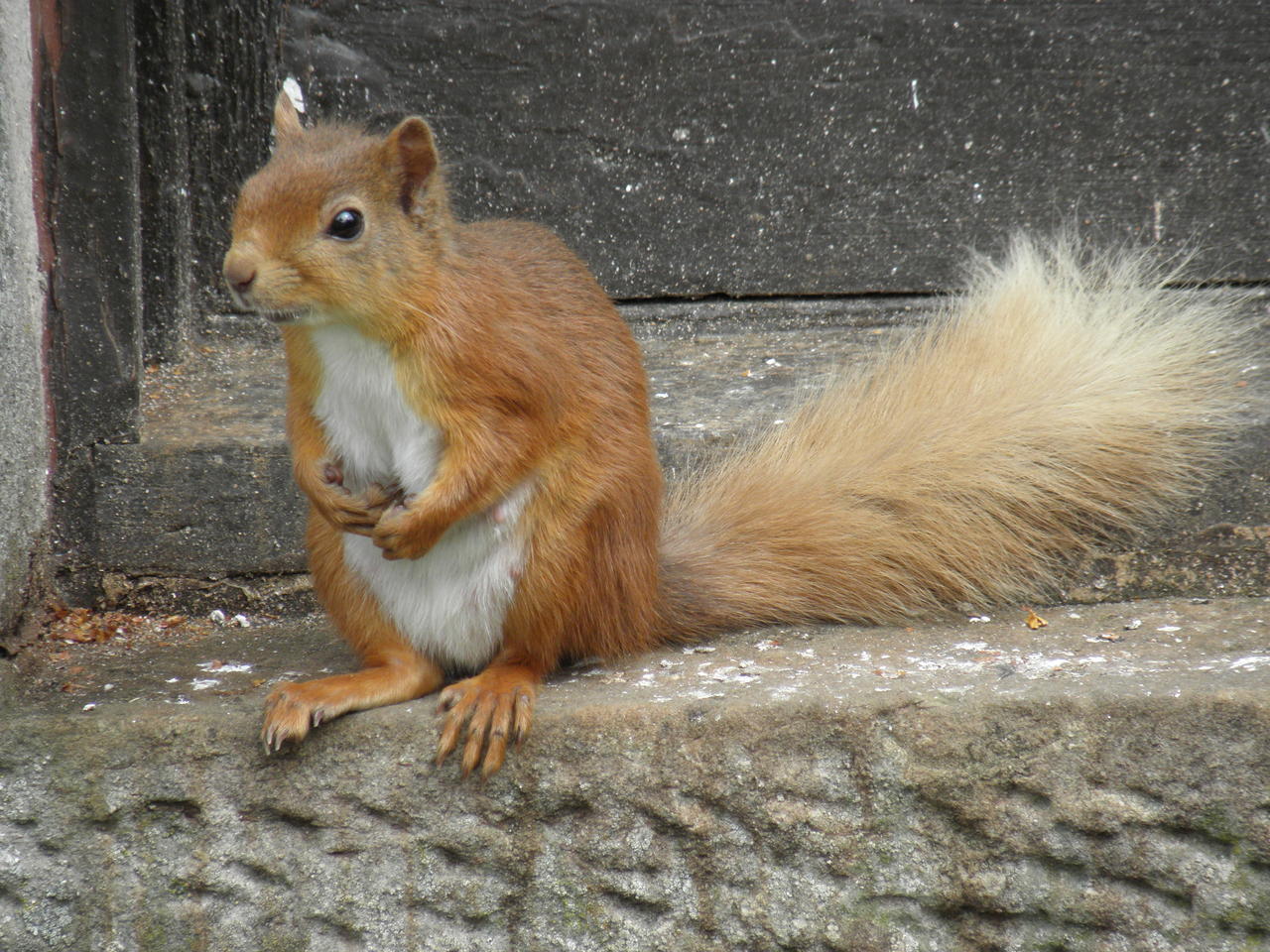 P7280369.JPG