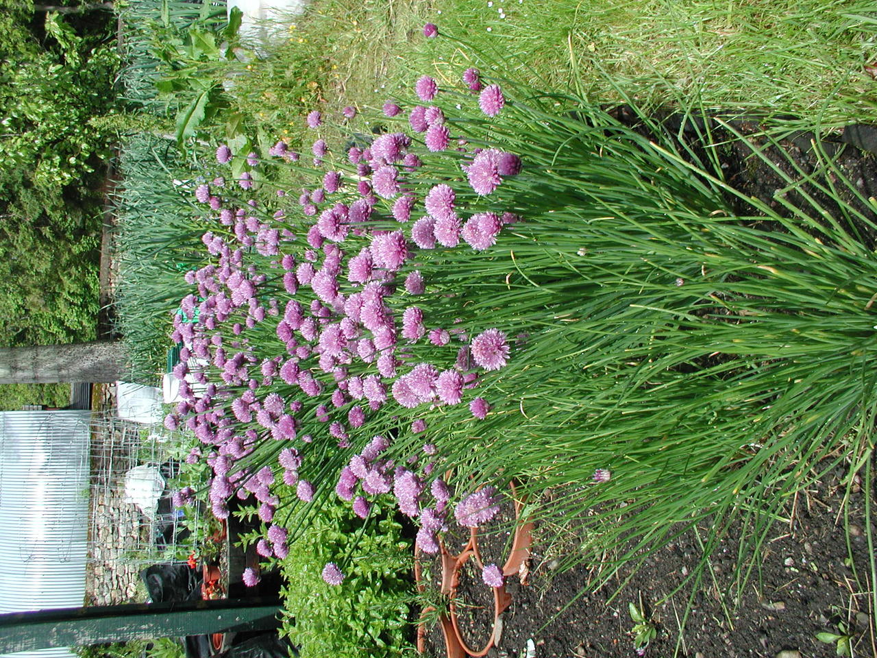 P1010018
