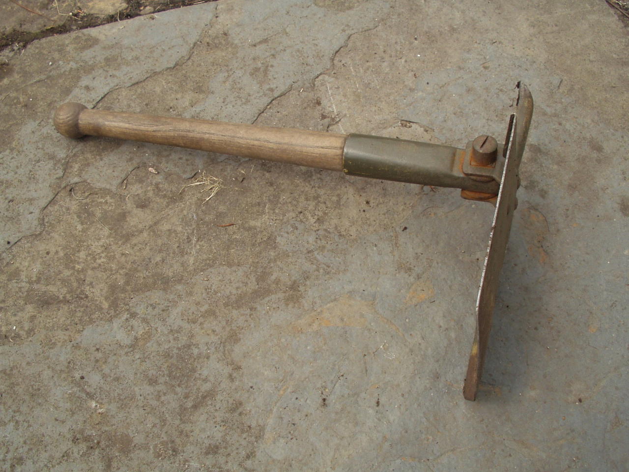 P1010003