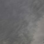 DSC_8501-01.jpg