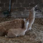 DSC01573.JPG