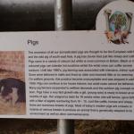DSC01575.JPG