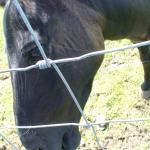 DSC01654.JPG