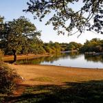 Hollow Pond 2