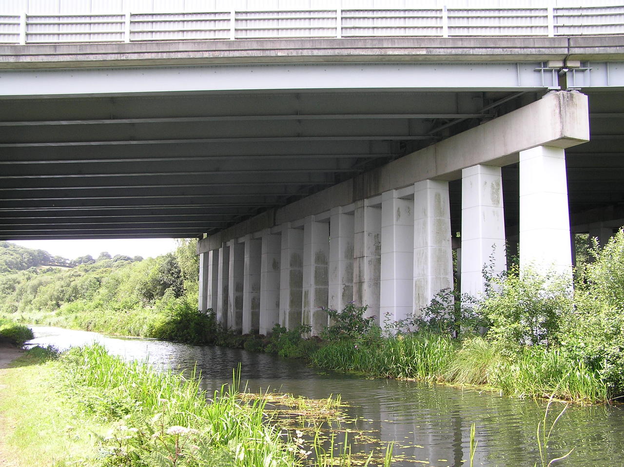 Canal walk 6.8.09 003