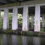Canal walk 6.8.09 004