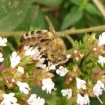 New camera test 113.jpg