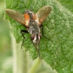 New camera test 118.jpg