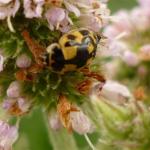 New camera test 120.jpg