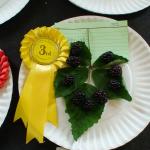 DSC01778.JPG