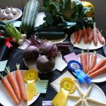 DSC01803.JPG